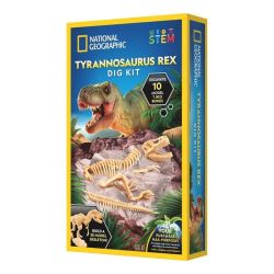 Grav efter tyrannosaurus rex skelet