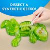 Gekko dissektionssæt