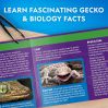 Gekko dissektionssæt