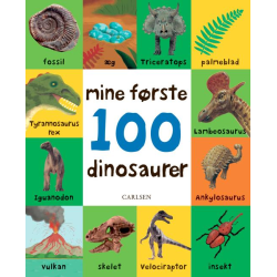 Mine første 100 dinosaurer - Papbog