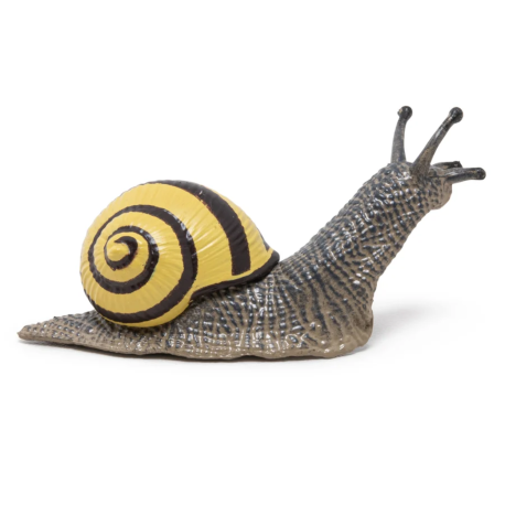 Lundsnegl - figur