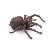 Arachnos edderkop - Fantasy figur