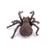 Arachnos edderkop - Fantasy figur