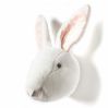 Brigbys dyretrofæ - Kanin