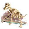 Tyrannosaurus Rex Skelet - KidzLabs